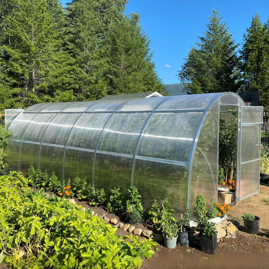 Backyard Greenhouses